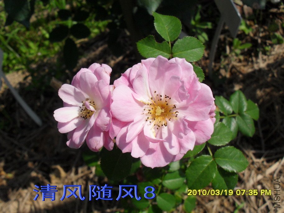 �ٷ�÷11 (5).jpg