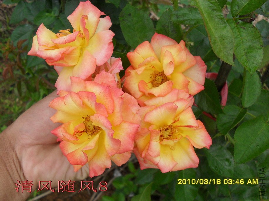 �谮С��11 (5).jpg