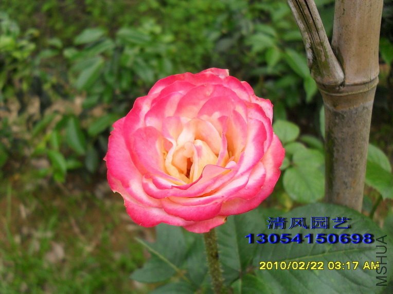 ���� (1).jpg