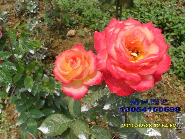 ���� (3).jpg