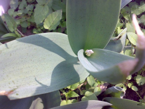 20110205591_1.jpg