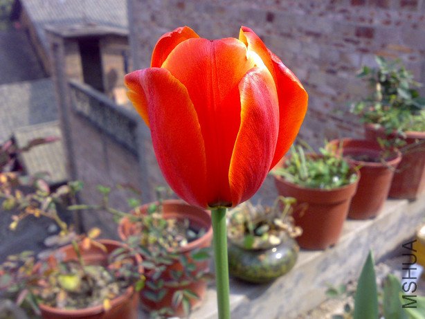 20110205589_1.jpg