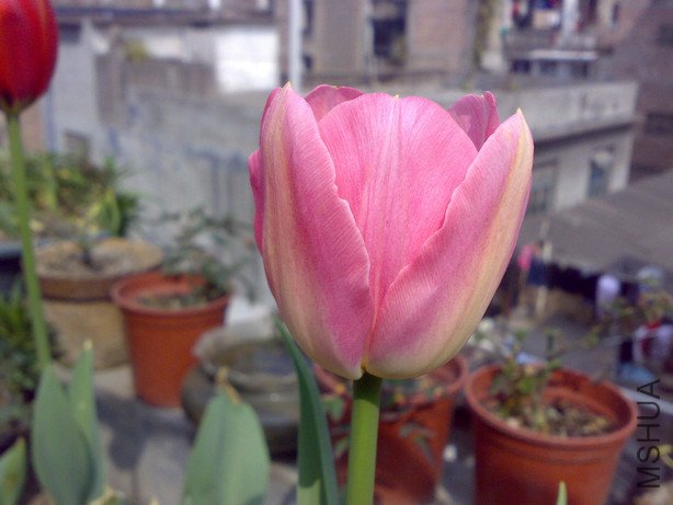 20110205587_1.jpg