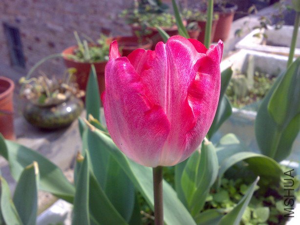 20110205588_1.jpg