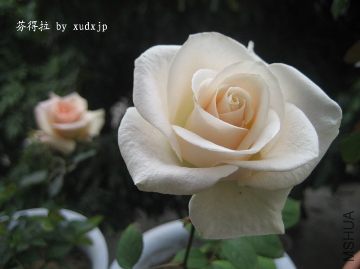 2010.12.jpg
