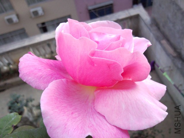 SNC00206.jpg