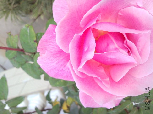 SNC00209.jpg