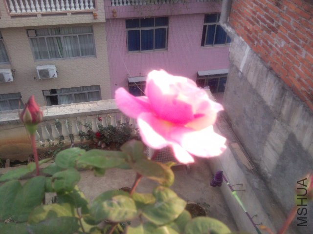 SNC00213.jpg