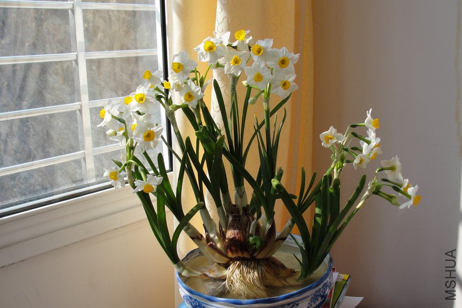 DSC05284-1.jpg