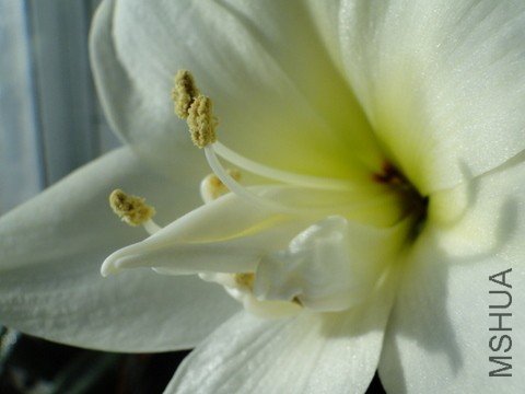 09����2 053_����.jpg