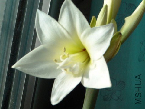 09����2 055_����.jpg