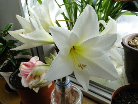 09����2 003_����.jpg