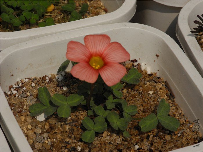 ��Ƭ 009_����.jpg