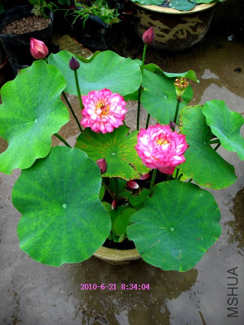 ���迪�����,�ۼƿ���45������.���ֱ��29����,2��ź����,������