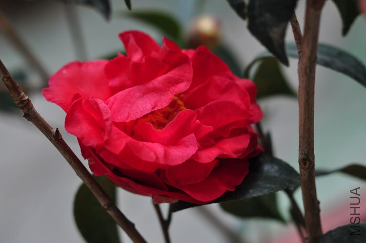 DSC_9380.JPG