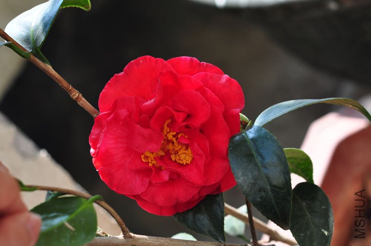 DSC_9413.JPG