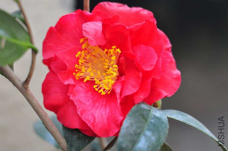 DSC_9417.JPG