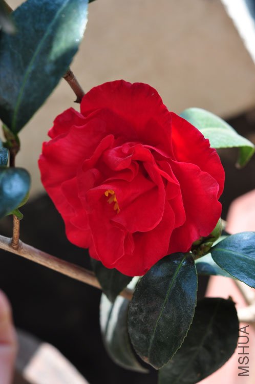 DSC_9416.JPG