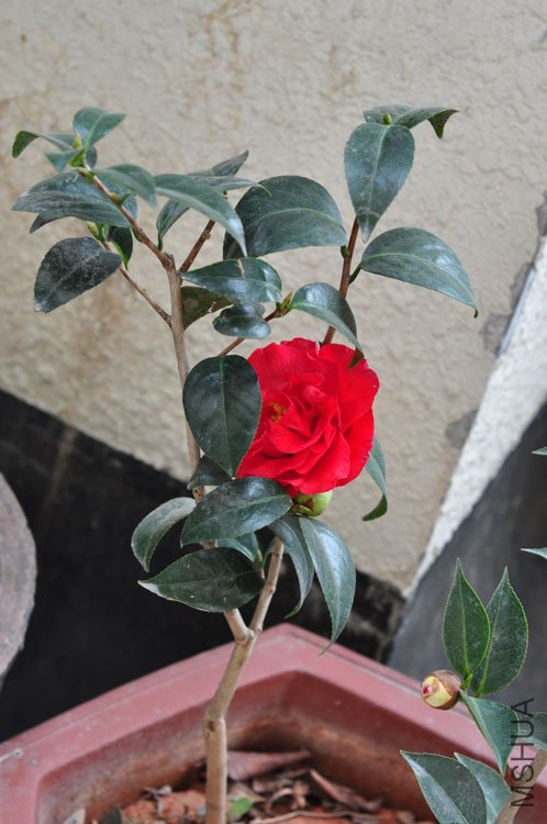 DSC_9404.JPG