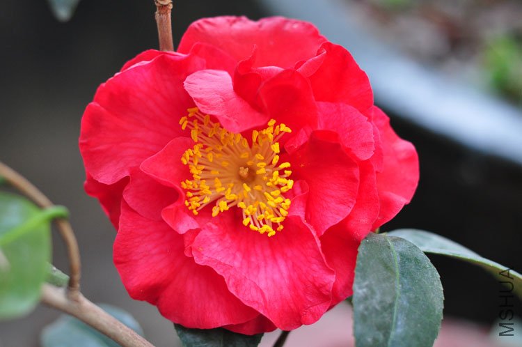 DSC_9418.JPG