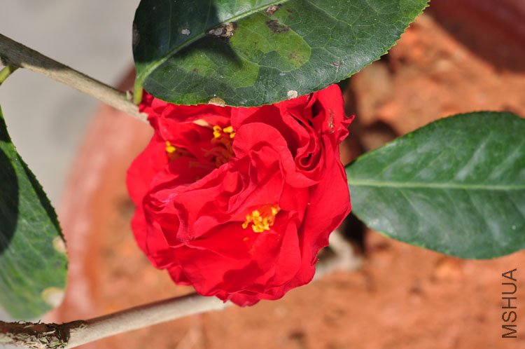 DSC_0301.JPG
