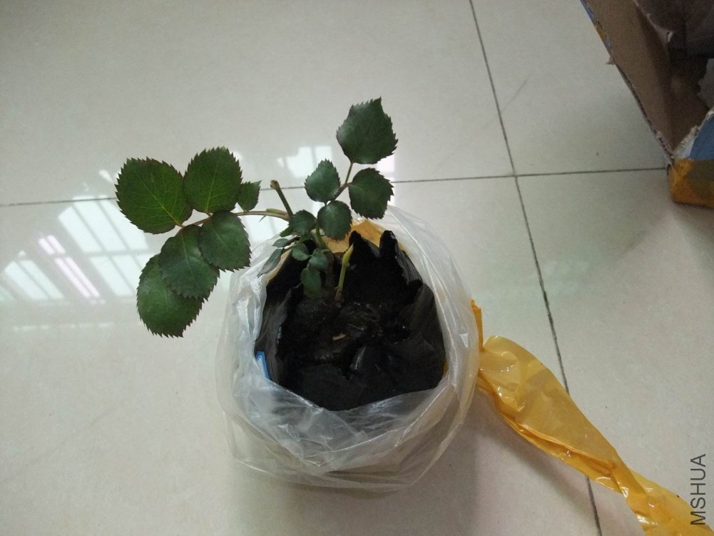 DSCF1570.JPG