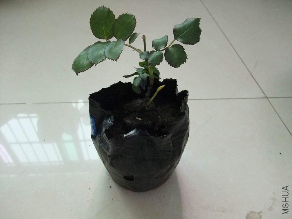 DSCF1571.JPG