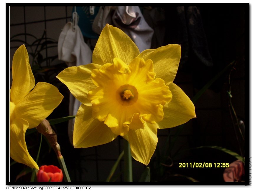 SDC16921_nEO_IMG.jpg