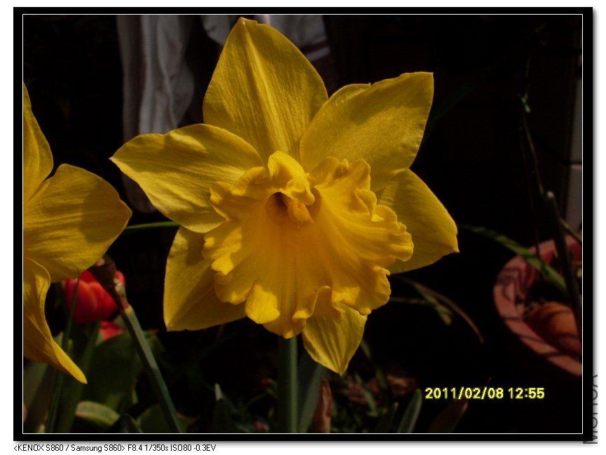 SDC16920_nEO_IMG.jpg