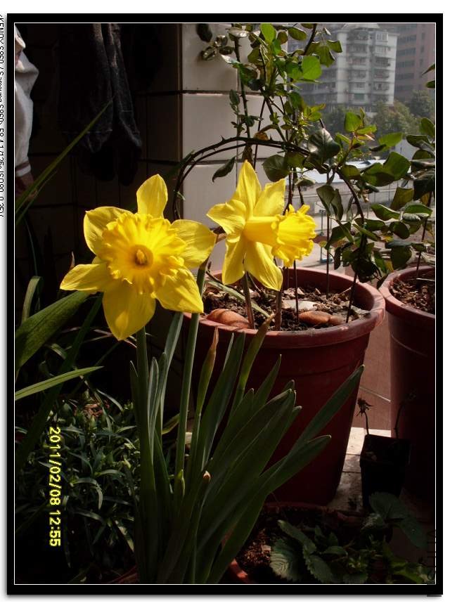 SDC16924_nEO_IMG.jpg