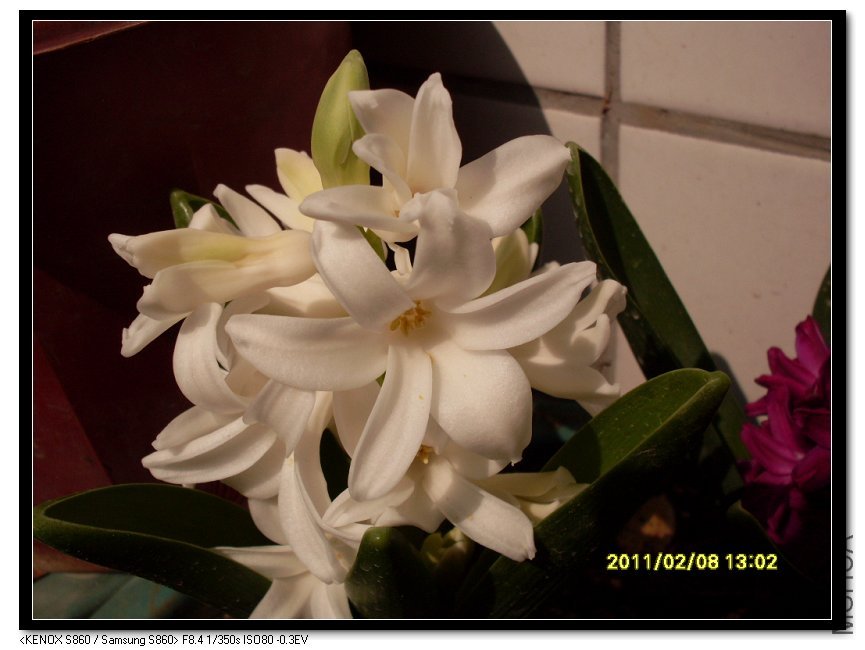 SDC16945_nEO_IMG.jpg
