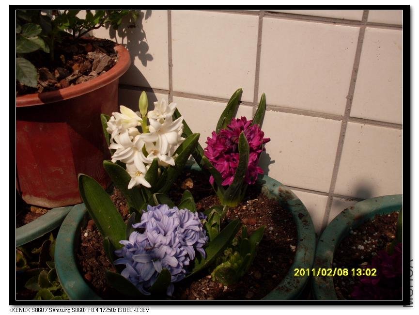 SDC16941_nEO_IMG.jpg
