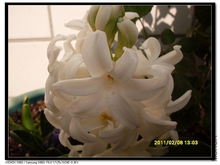 SDC16947_nEO_IMG.jpg