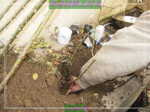 nEO_IMG_��Ƭ 002.jpg