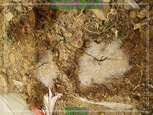 nEO_IMG_��Ƭ 005.jpg