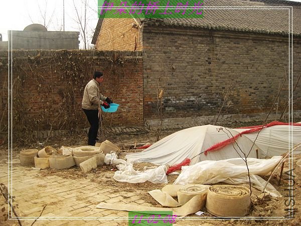 nEO_IMG_��Ƭ 028.jpg