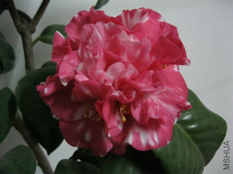 ��Ƭ 067_��С��С.jpg