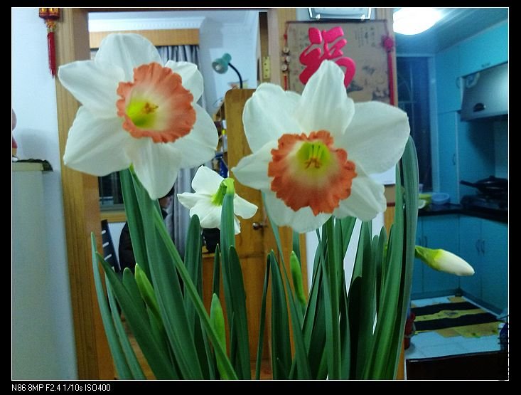 05 023.jpg