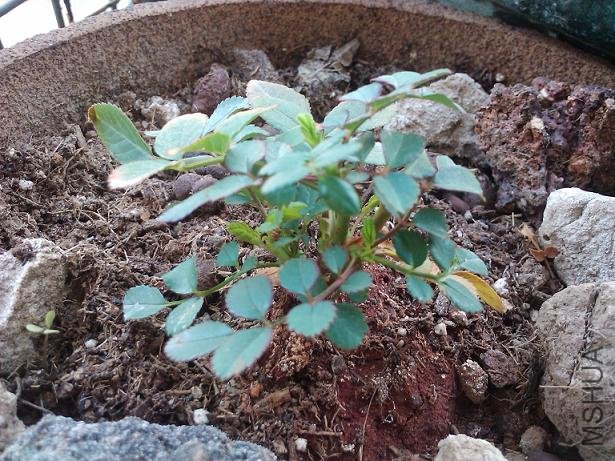 2011-02-08 10.45.18.jpg