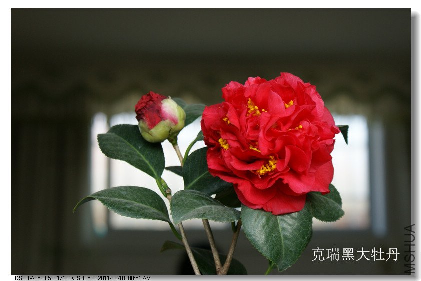 DSC069000.jpg