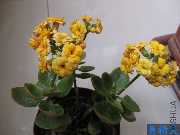 ��Ƭ 045.jpg