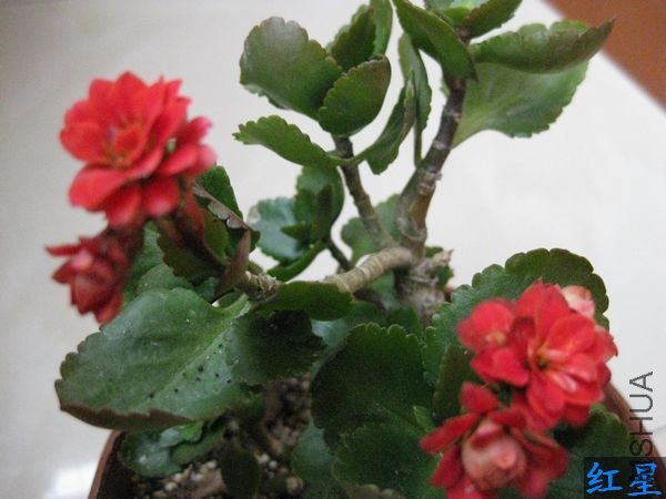 ��Ƭ 048.jpg