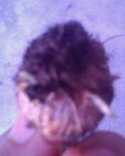IMG0324A.jpg