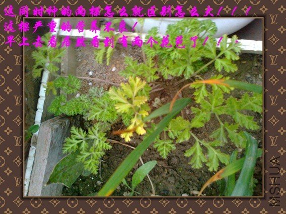 ��Ƭ0069_����.jpg