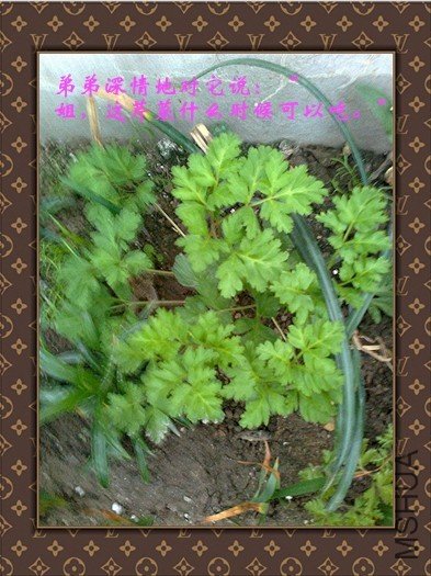 ��Ƭ0068_����.jpg