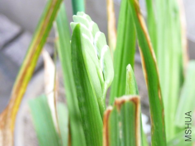 P1090215.JPG