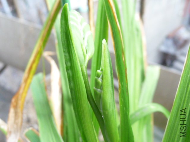 P1090225.JPG