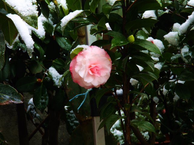 ��Ƭ��������.����.����.�軨�ͺ�÷�� 003.jpg