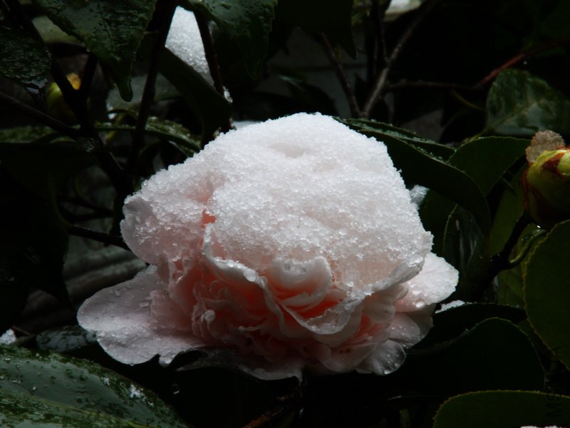 ��Ƭ��������.����.����.�軨�ͺ�÷�� 289.jpg