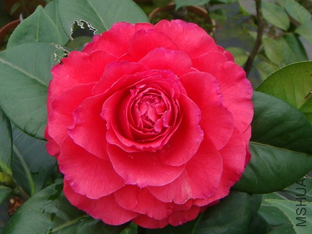 ������һ��